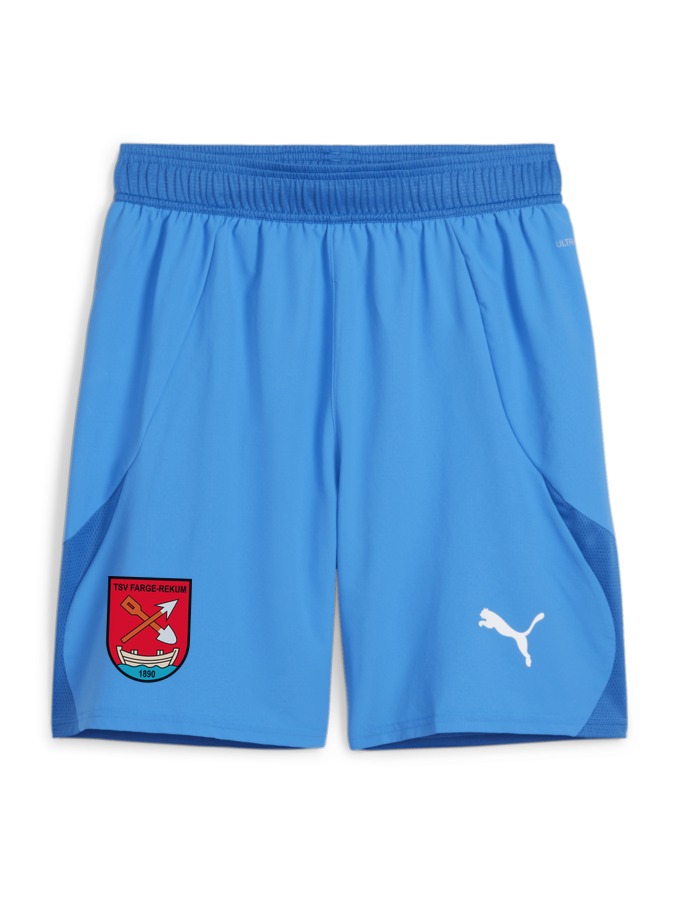 PUMA teamFINAL Shorts