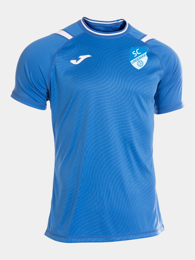 Joma Dinamo II Trikot