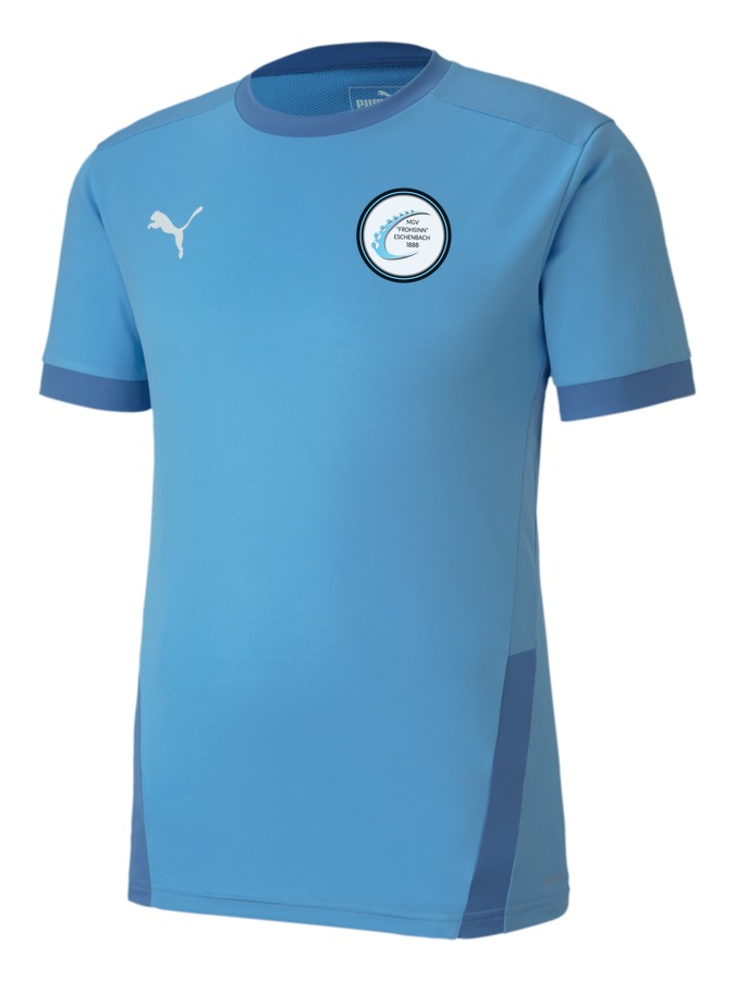 PUMA teamGOAL 23 Trikot