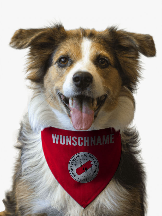Hundehalstuch