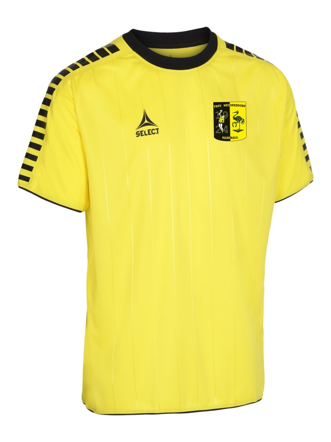 Select Argentina Trikot
