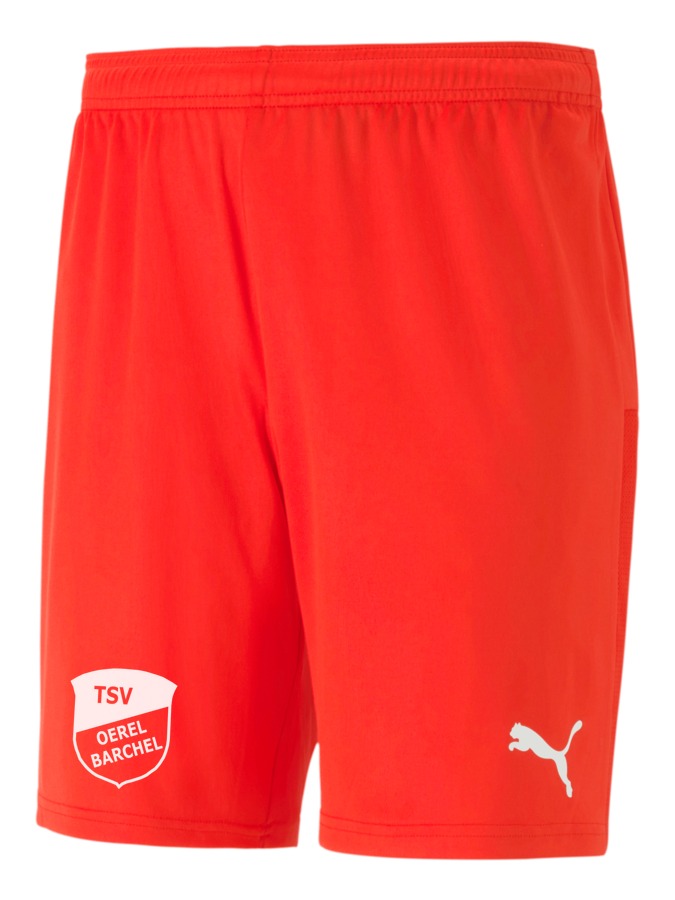 PUMA teamGOAL 23 Knit Shorts