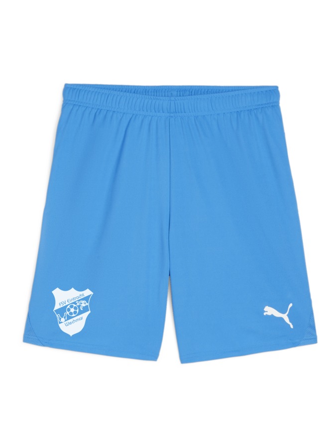 PUMA teamGOAL Shorts