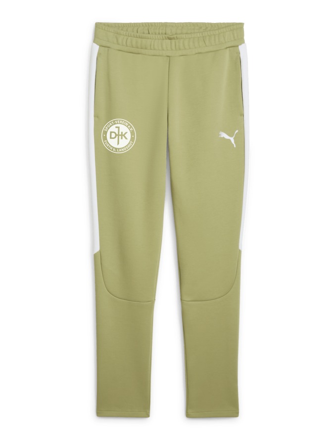 PUMA teamEVOSTRIPE Hose