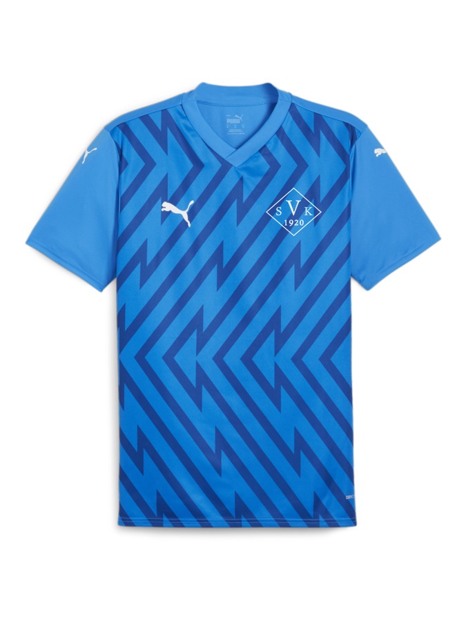 PUMA teamGLORY Trikot