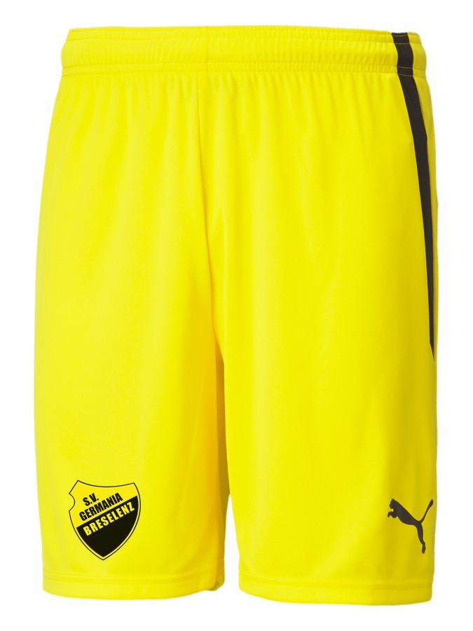 PUMA teamLIGA Shorts