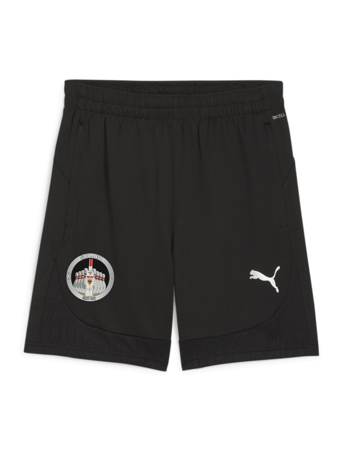 PUMA teamFINAL Training Shorts