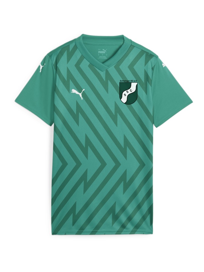 PUMA teamGLORY Trikot Damen