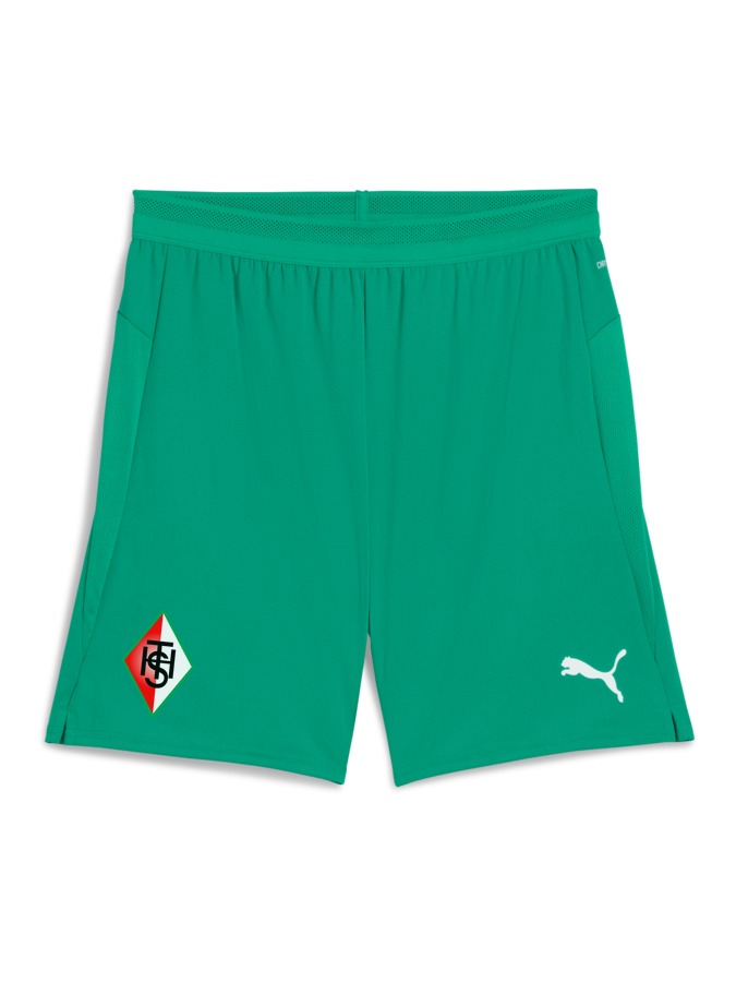 PUMA teamCUP Shorts