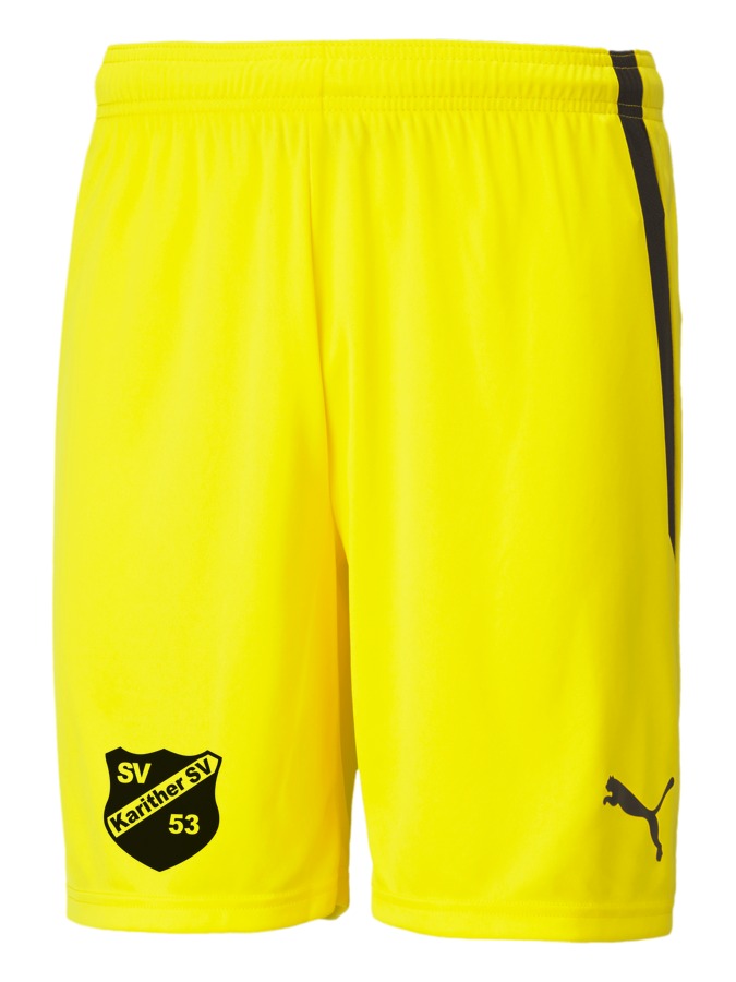 PUMA teamLIGA Shorts
