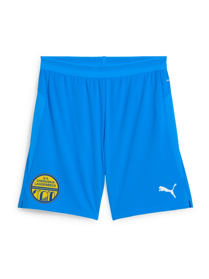 PUMA teamCUP Shorts