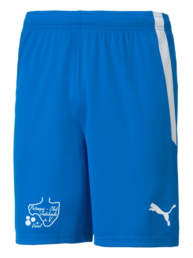 PUMA teamLIGA Shorts
