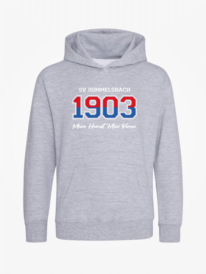 Hoodie Established Kids