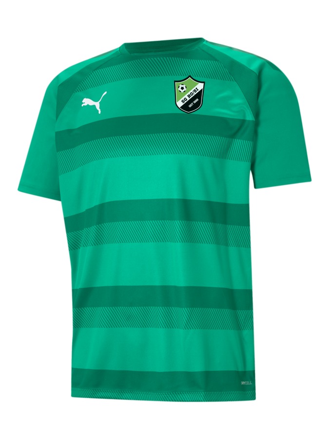 PUMA teamVISION Trikot