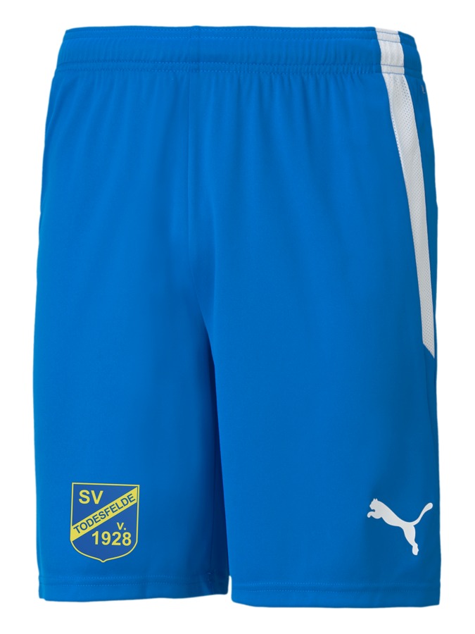 PUMA teamLIGA Shorts