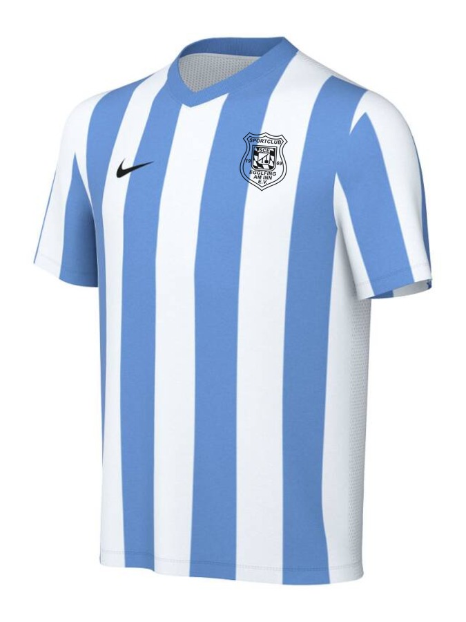 Nike Striped Division V Trikot Kinder