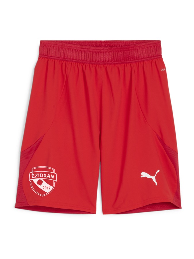 PUMA teamFINAL Shorts