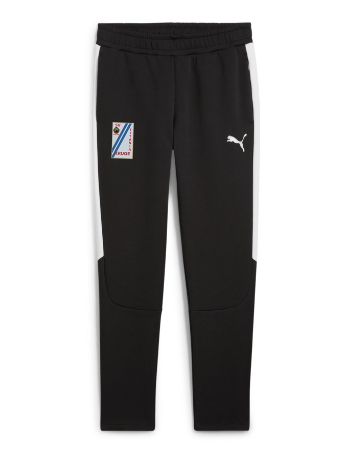 PUMA teamEVOSTRIPE Hose