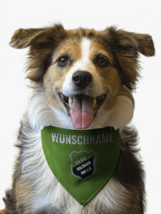 Hundehalstuch