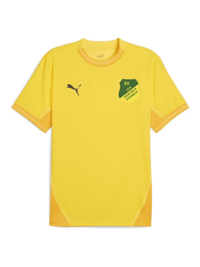 PUMA teamFINAL Trikot