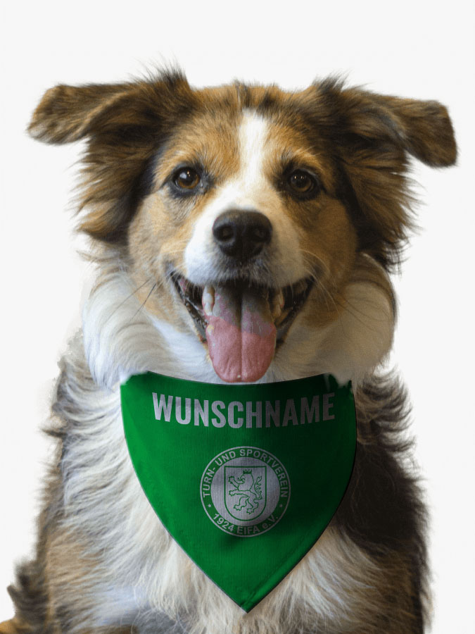 Hundehalstuch