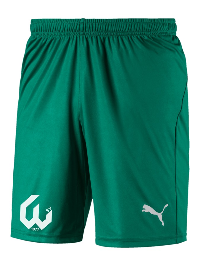 PUMA LIGA Shorts Core