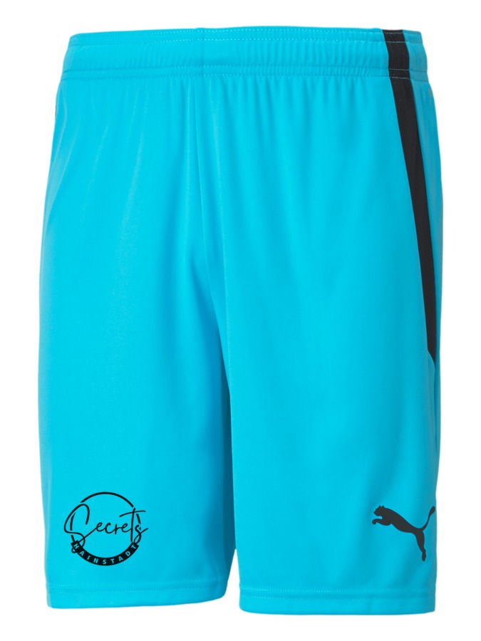 PUMA teamLIGA Shorts