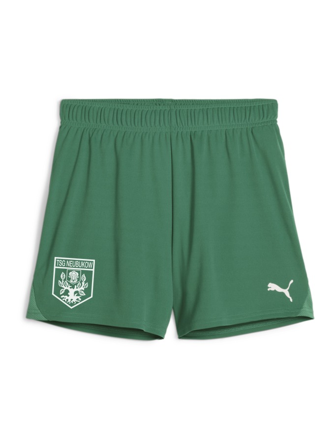 PUMA teamGOAL Handballshorts Damen