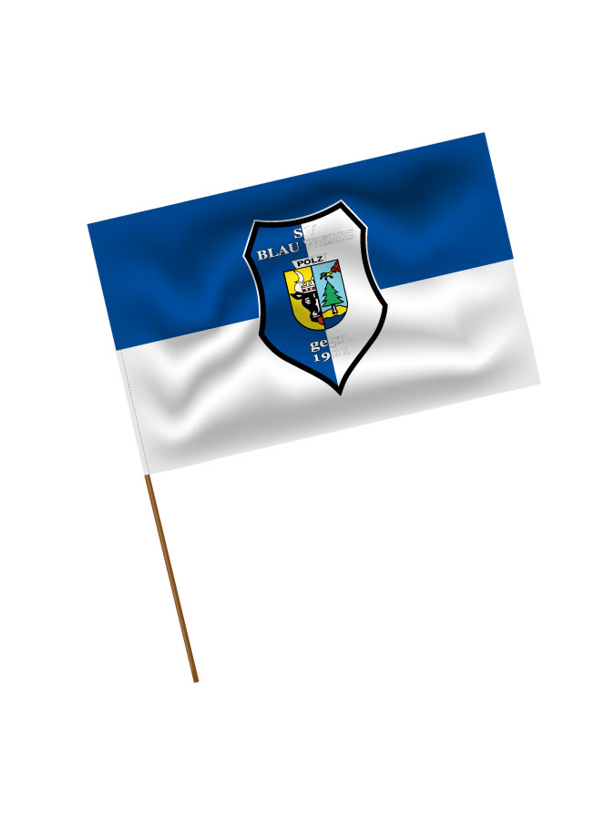Stadionfahne Logo