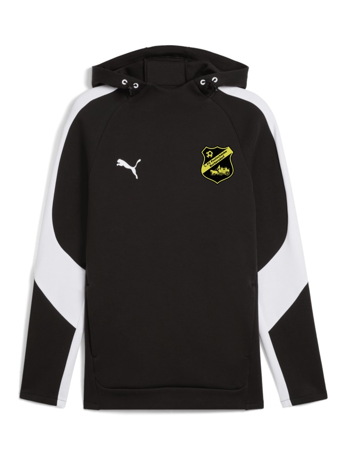PUMA teamEVOSTRIPE Hoody