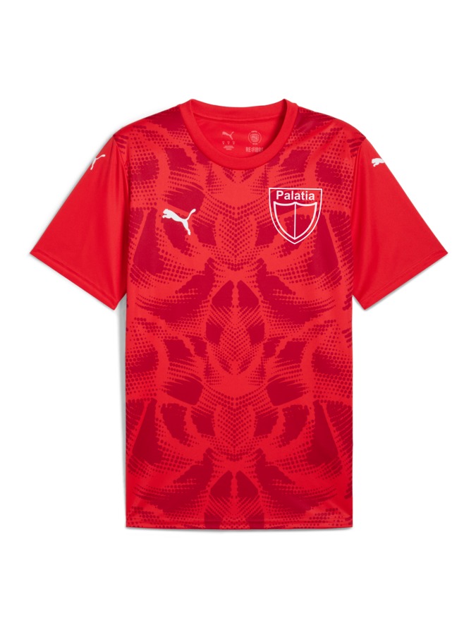 PUMA teamULTIMATE Trikot