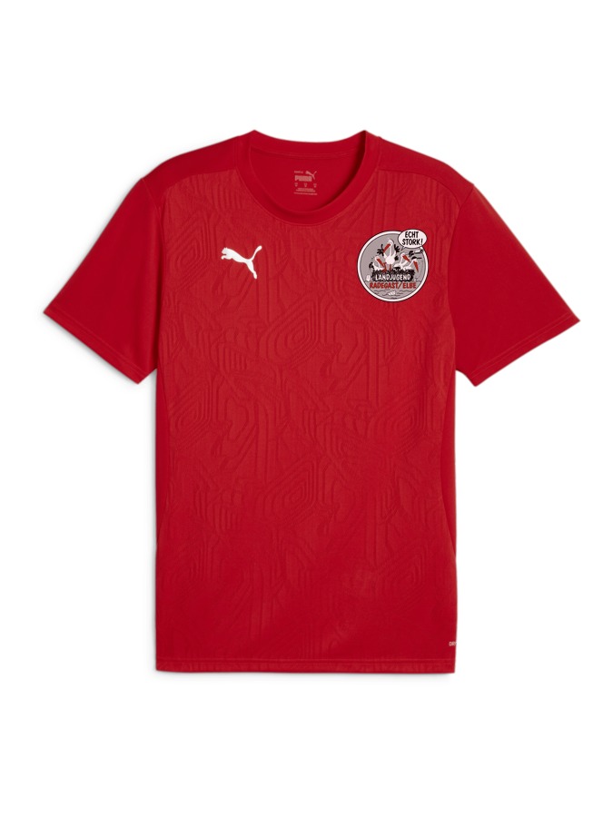 PUMA teamFINAL Trainingsshirt
