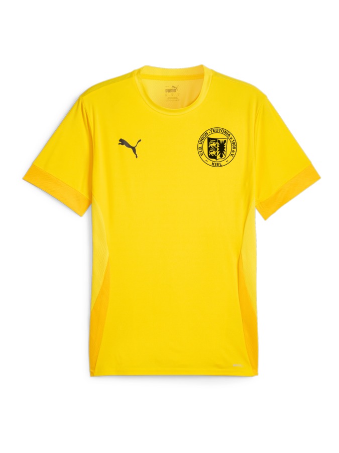 PUMA teamGOAL Matchday Trikot