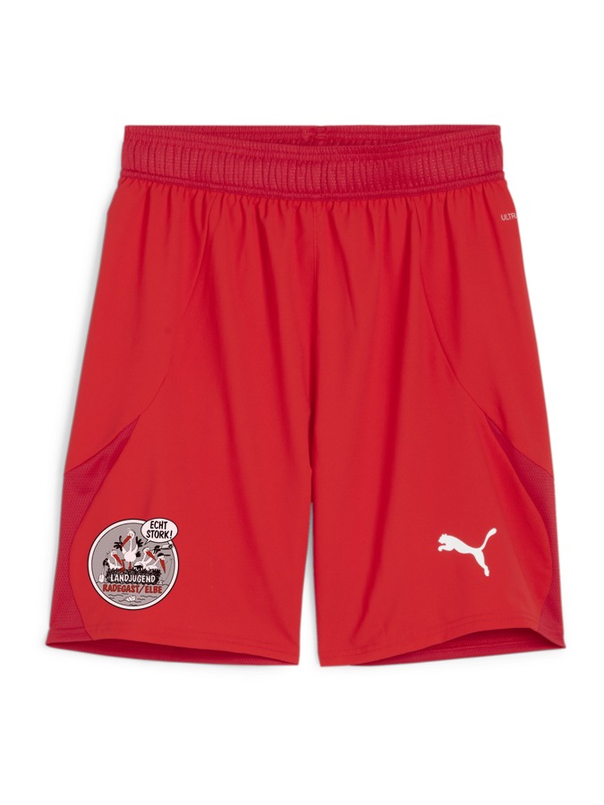 PUMA teamFINAL Shorts