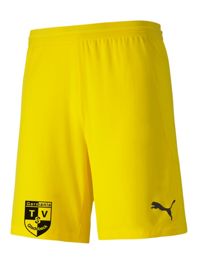 PUMA teamFINAL 21 Knit Shorts