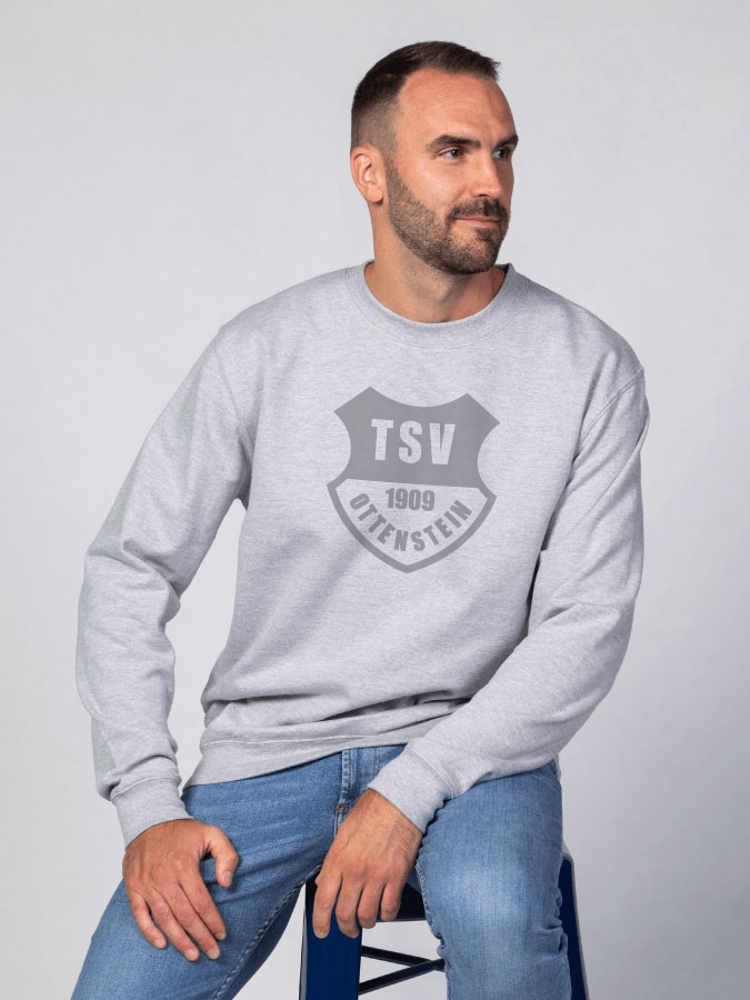 Sweater All Grey Herren
