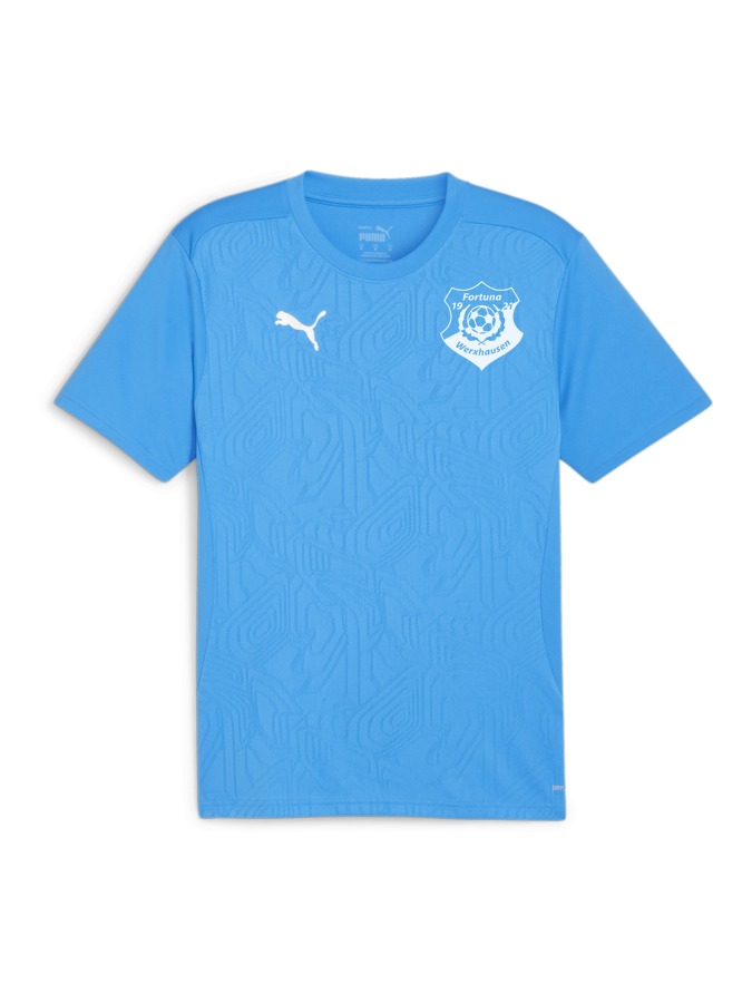 PUMA teamFINAL Trainingsshirt