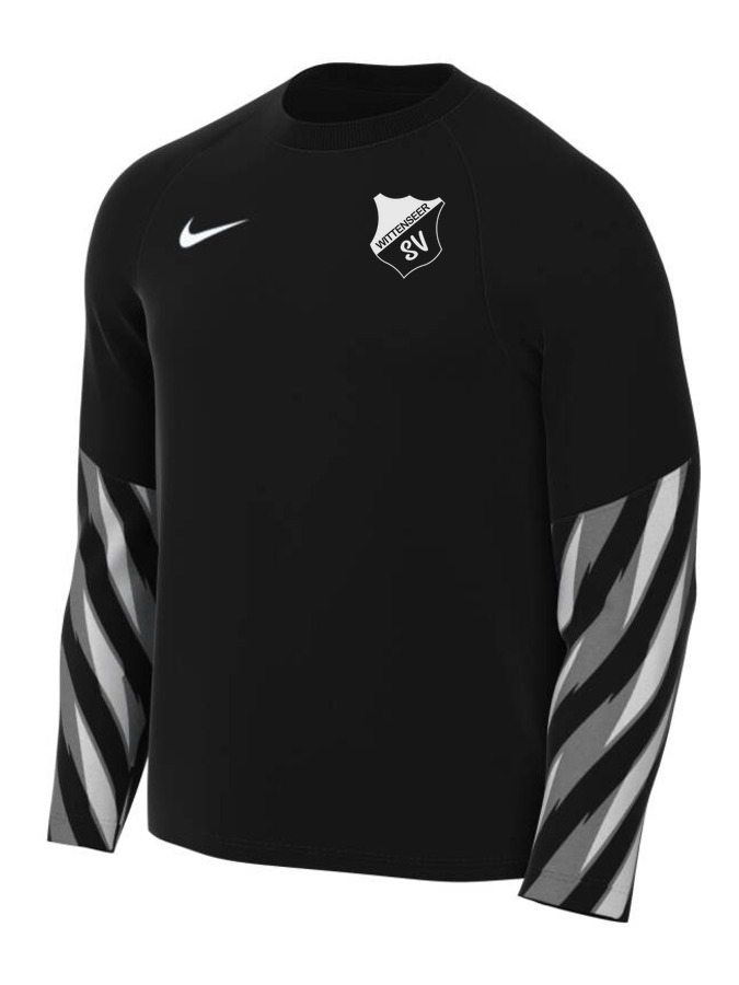 Nike Dri-FIT Park V Torwart Trikot Langarm