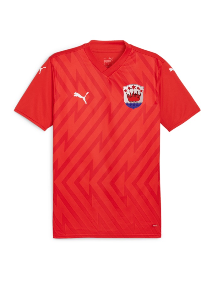 PUMA teamGLORY Trikot