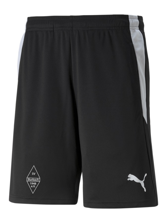PUMA teamLIGA Referee Shorts