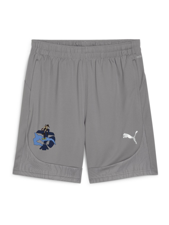 PUMA teamFINAL Training Shorts