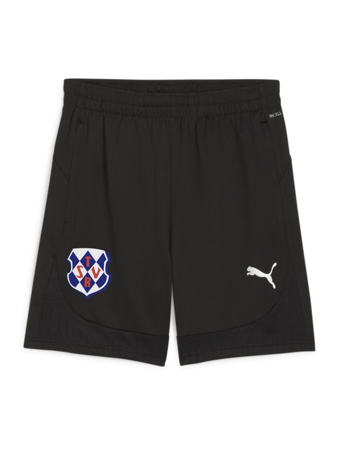 PUMA teamFINAL Training Shorts