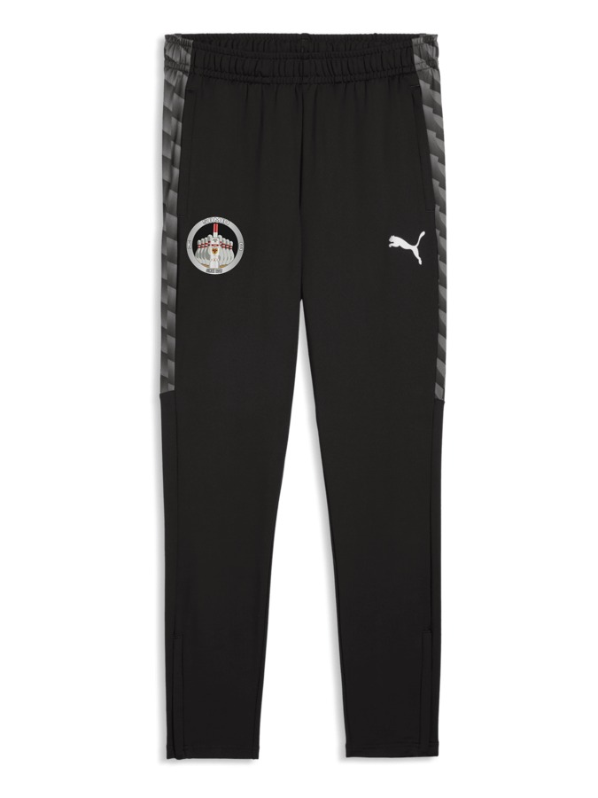 PUMA teamLIGA26 Trainingshose+