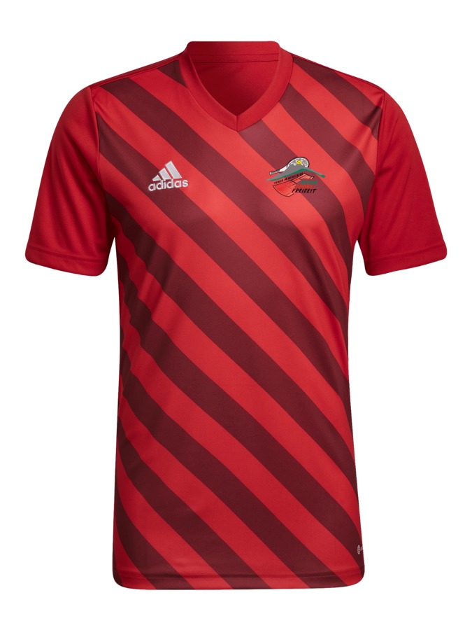 adidas Entrada 22 GFX Trikot