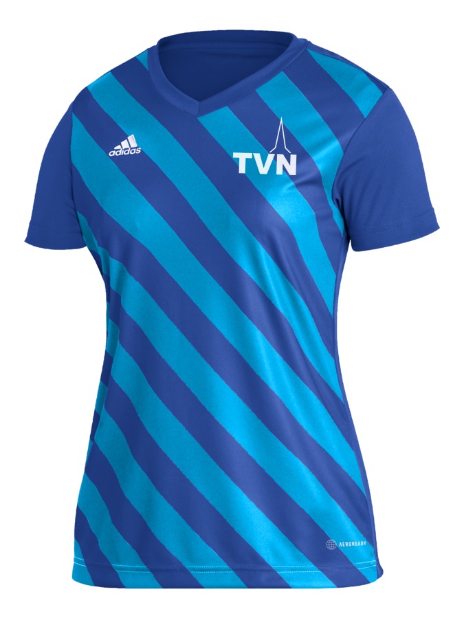 adidas Entrada 22 GFX Trikot Damen