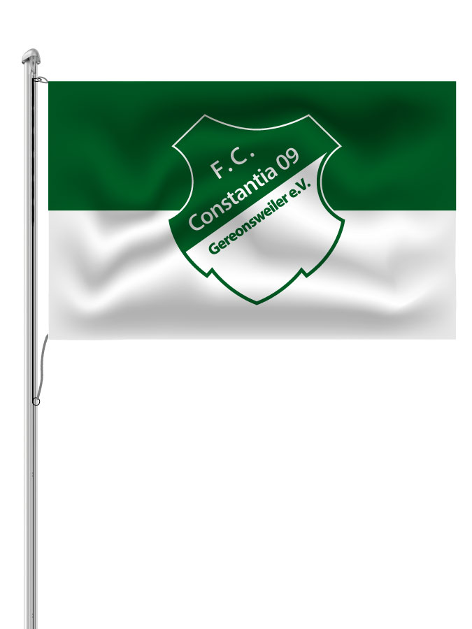 Hissfahne Logo