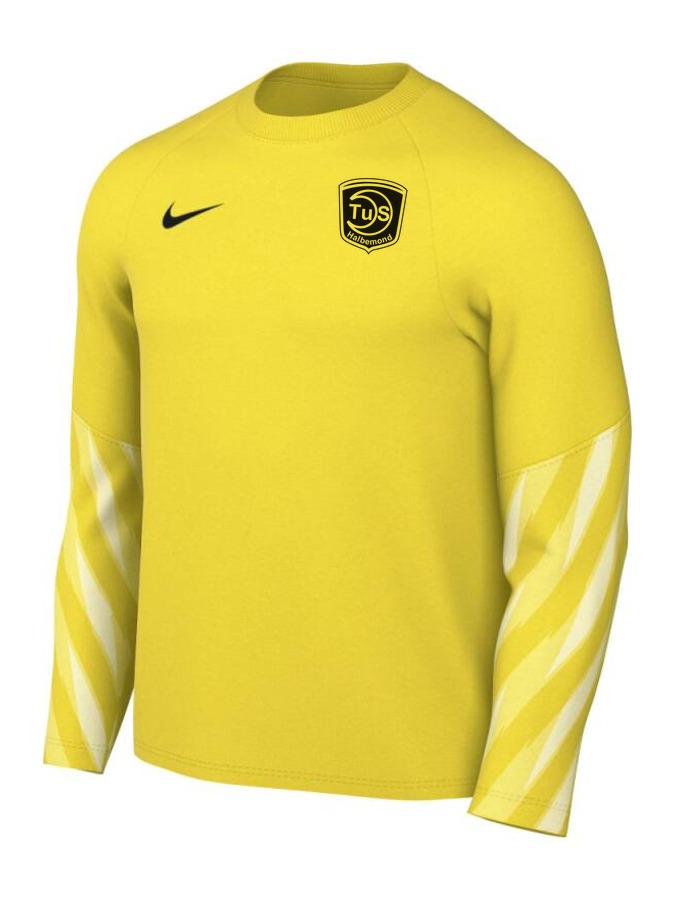 Nike Dri-FIT Park V Torwart Trikot Langarm
