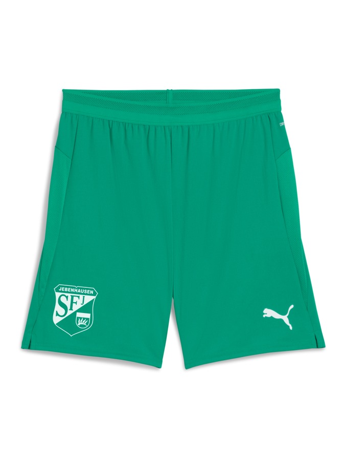 PUMA teamCUP Shorts