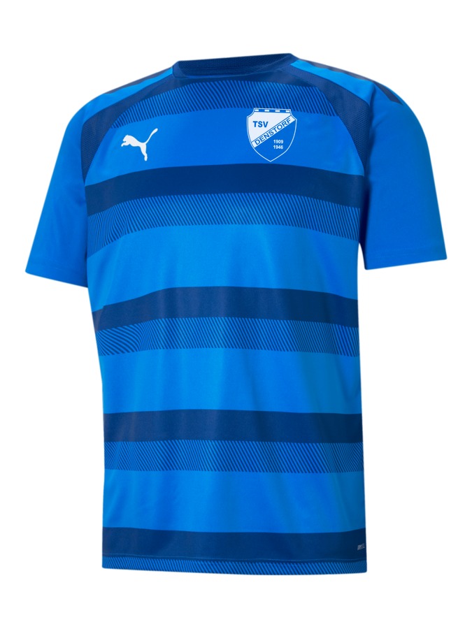 PUMA teamVISION Trikot