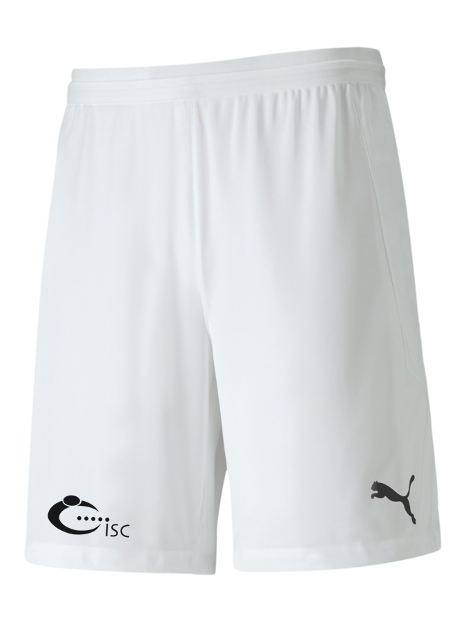 PUMA teamFINAL 21 Knit Shorts
